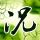 绿灯侠